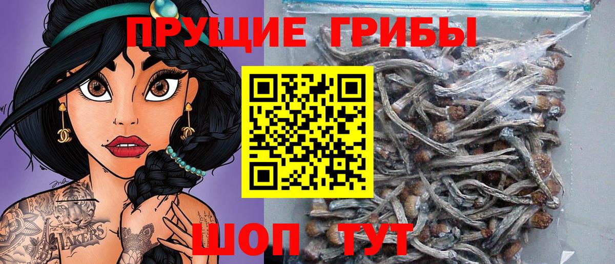 Псилоцибиновые грибы мухоморы Новоалександровск