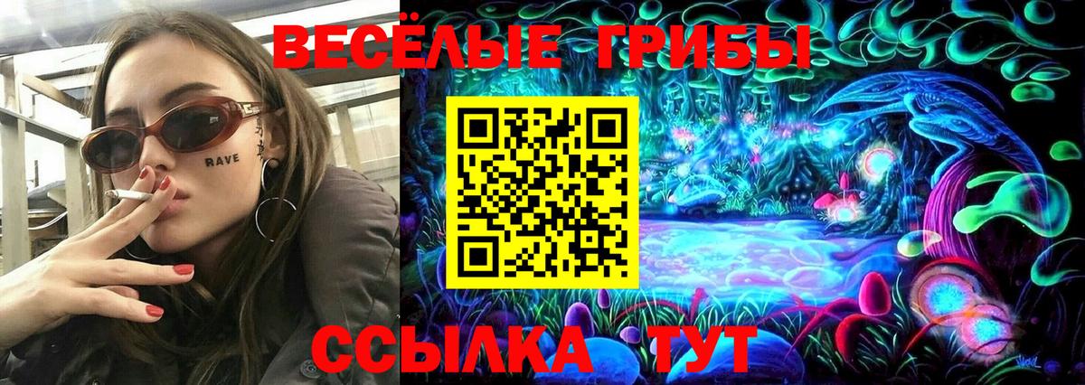 Псилоцибиновые грибы MAGIC MUSHROOMS  Вход с VPN  хочу наркоту  Новоалександровск  Псилоцибиновые грибы GOLDEN TEACHER 