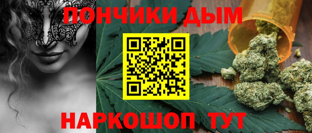 Псилоцибиновые грибы Новоалександровск